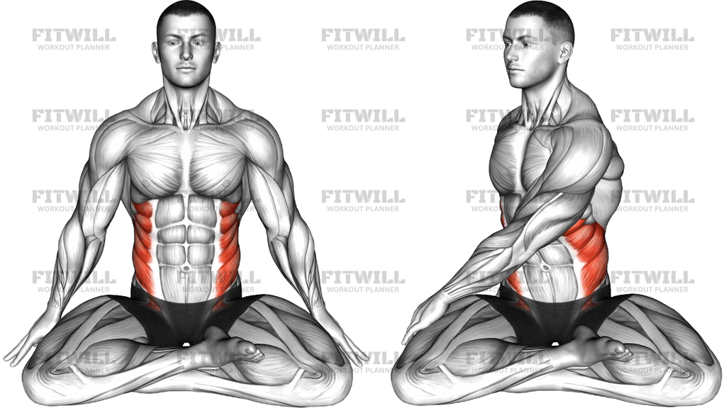 Seated Twist Stretch