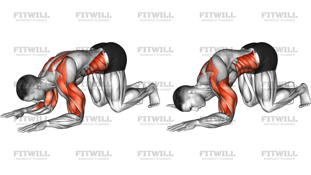 Kneeling Elbow Mobilisation
