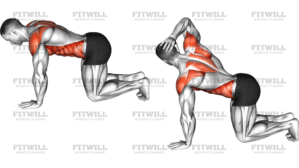 Single Arm Scapular Push Up To Rotation