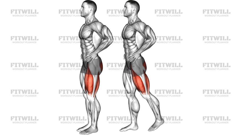 Standing Hip Extension To Leg Lift
