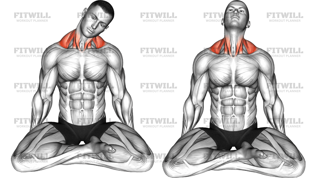 Seated Neck Rotation