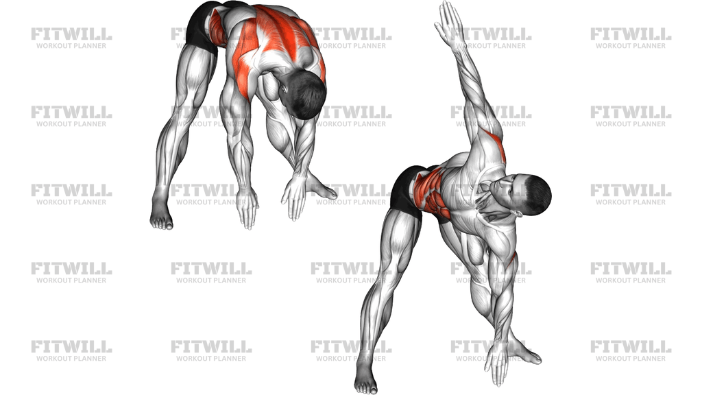 Wide Stance Thoracic Rotation