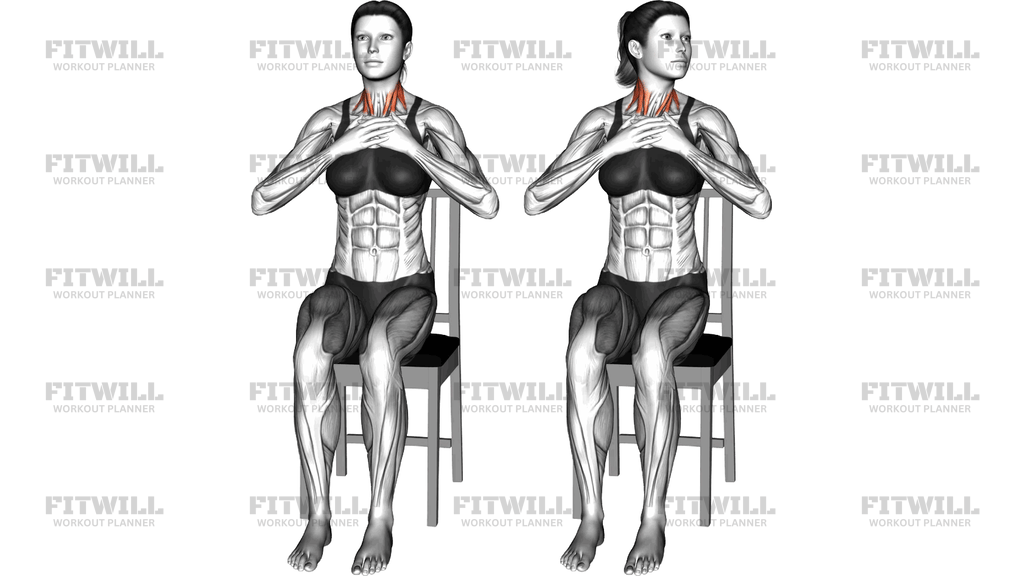 Sitting Neck Rotation On A Chair