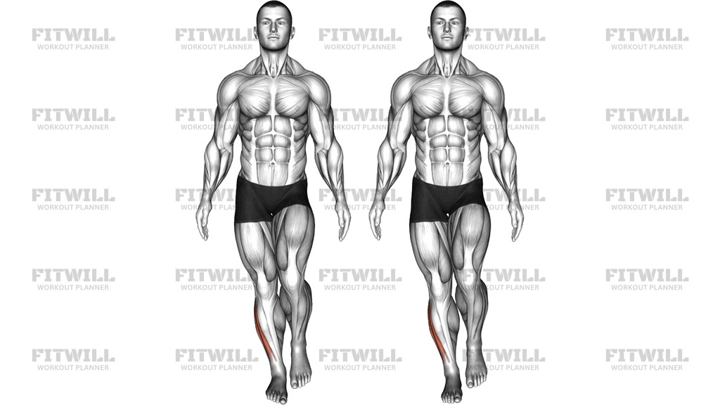 Forefoot Screw One Legged Stand