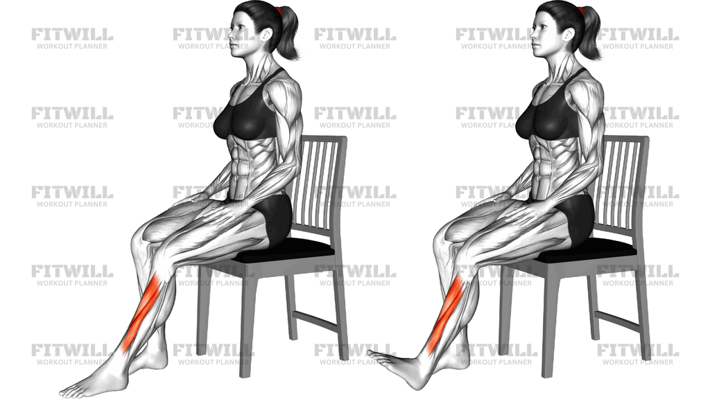 Sitting Foot Extensors Stretch On A Chair
