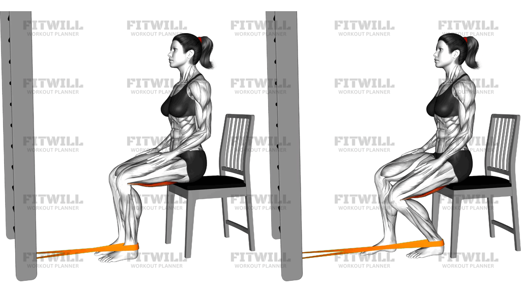 Resistance Band Sitting Knee Flexion On A Chair