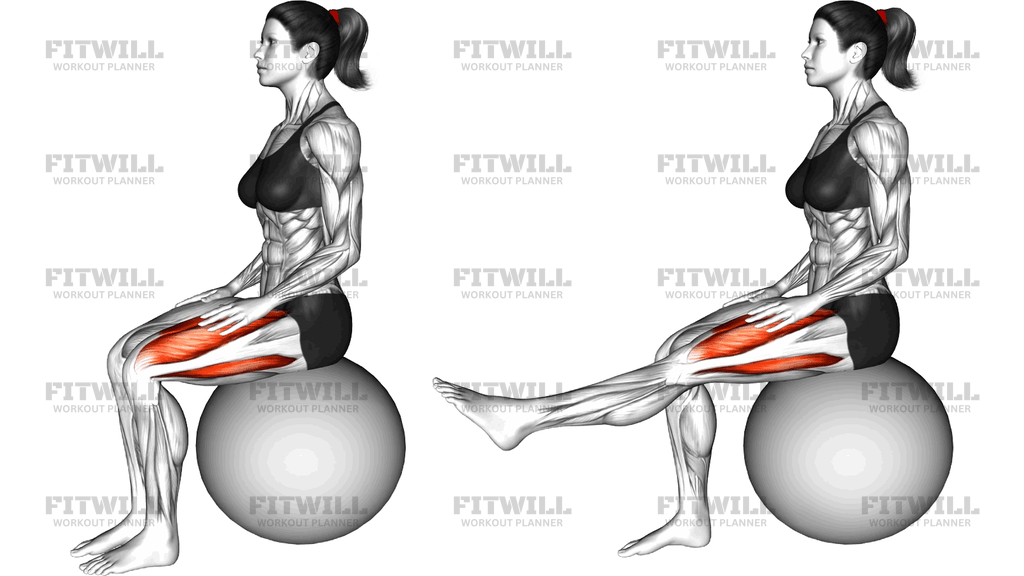 Sitting Knee Extension On A Stability Ball
