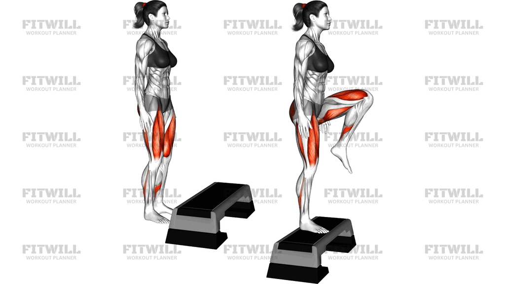 Bodyweight Step Up Knee Raise On Stepbox