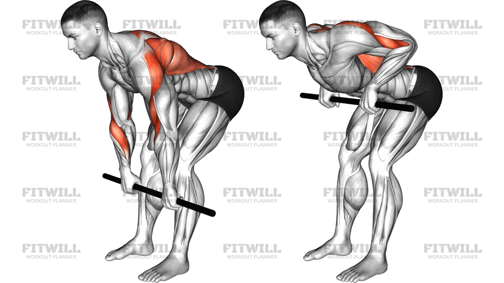 Stick Bent Over Pronated Grip Row