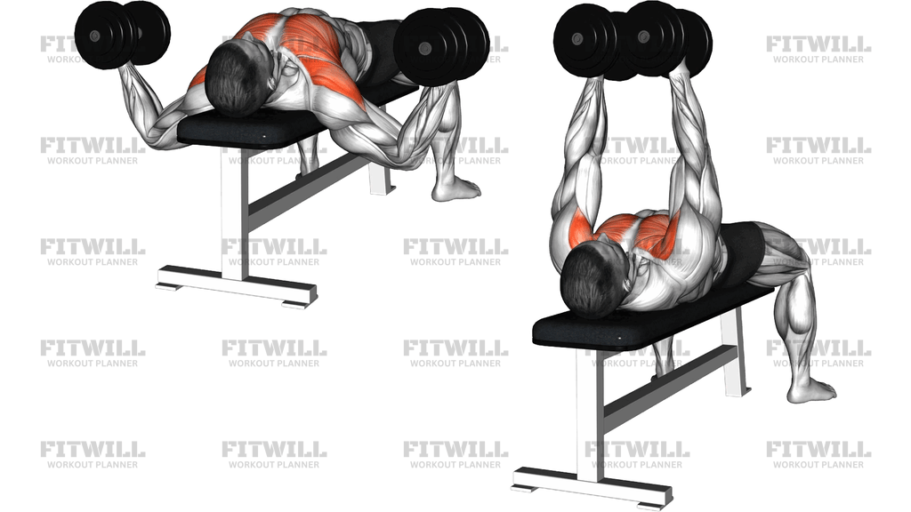 Dumbbell Alternative Fly