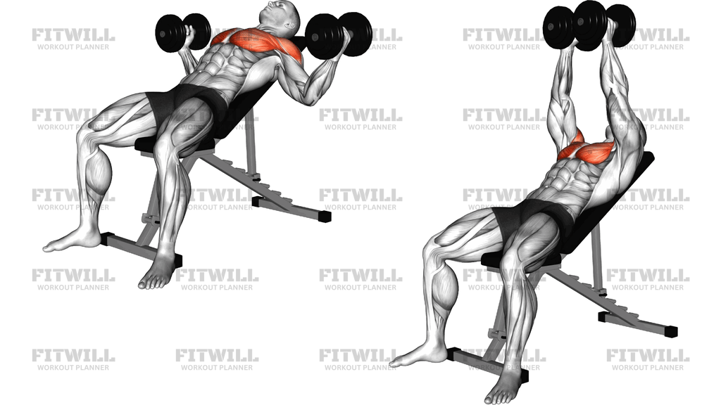 Dumbbell Incline Alternative Fly