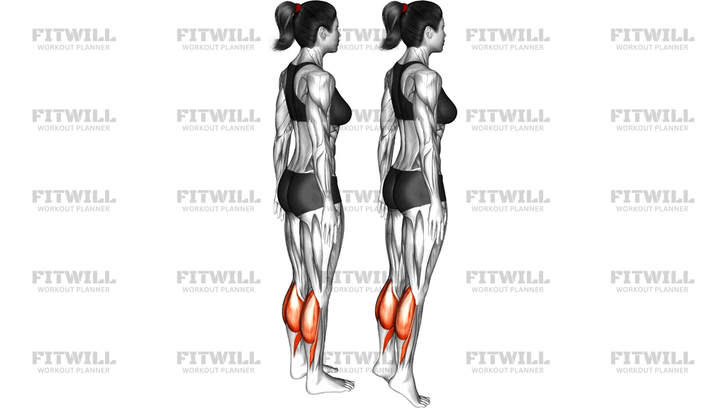 Standing Isometric Hold Calf Raise