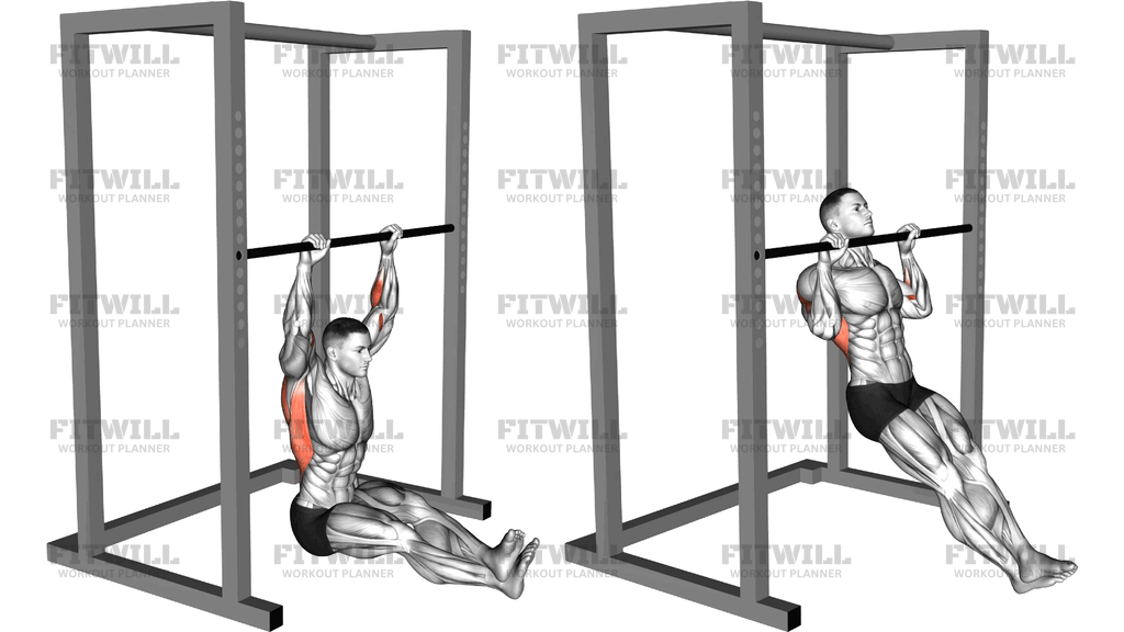Seated Isometric Hold Pull Up