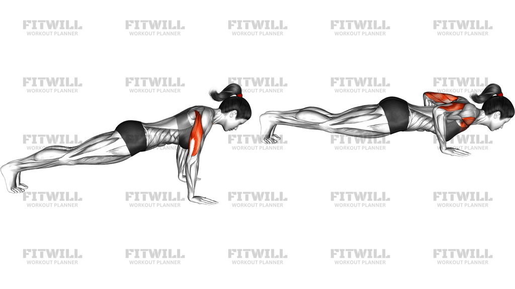 Isometric Hold Push Up