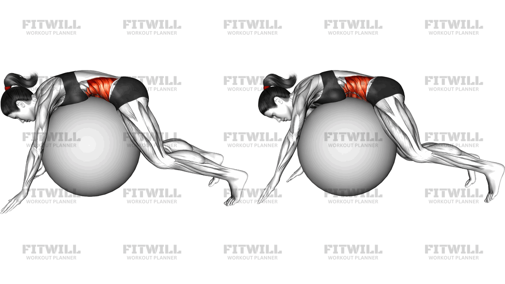 Lying Side To Side Roll On Stability Ball
