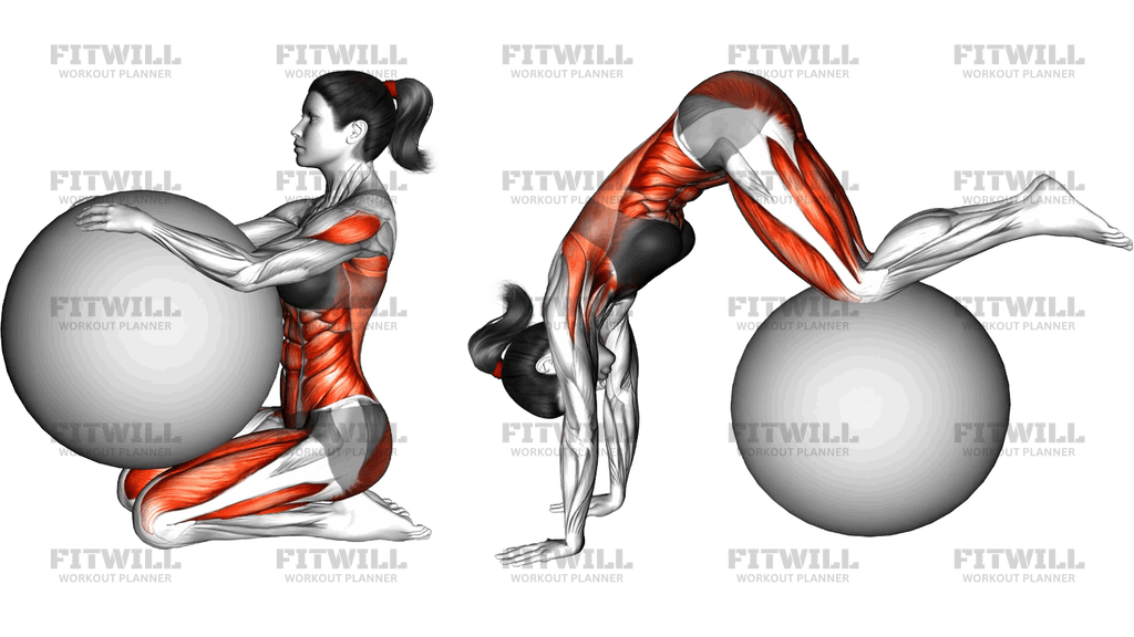 Roll Pull And Bend On Stabilitity Ball