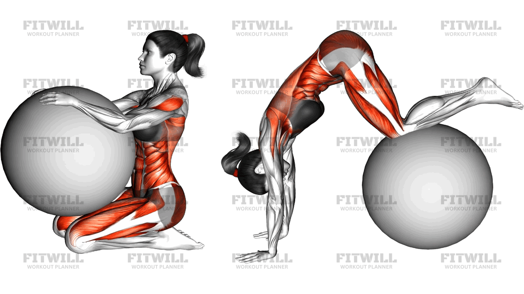 Roll And Side Twist On Stabilitity Ball