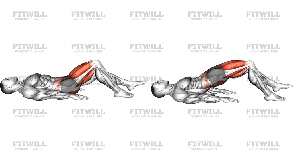 Single Leg Hamstring Bridge