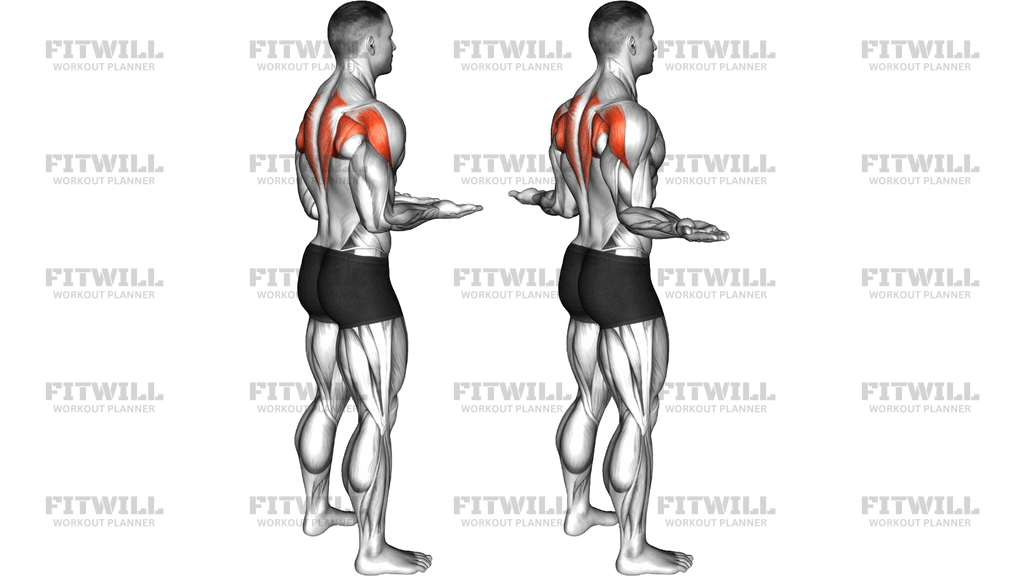 Bodyweight Standing Scapular External Rotation
