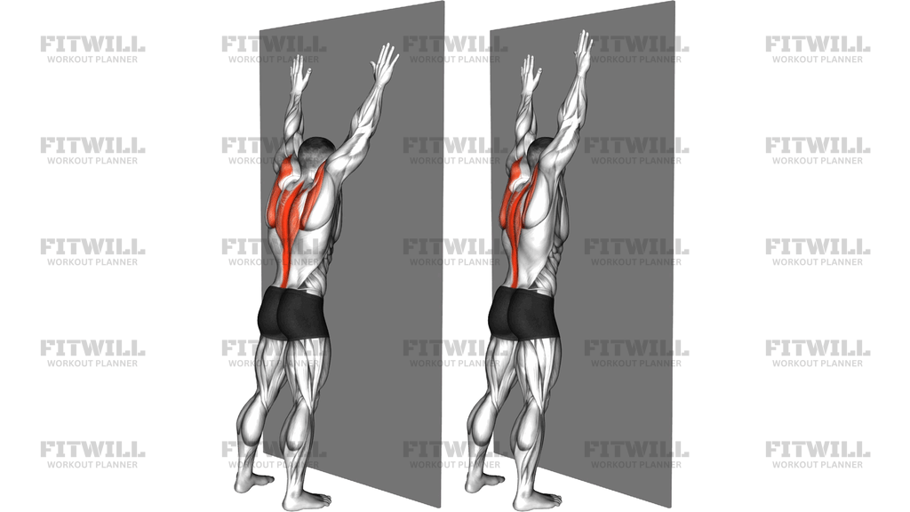 Opposite Arm Raise Against Wall