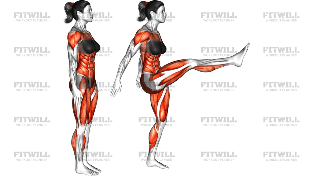 Stepback Front Kick Arms Raise