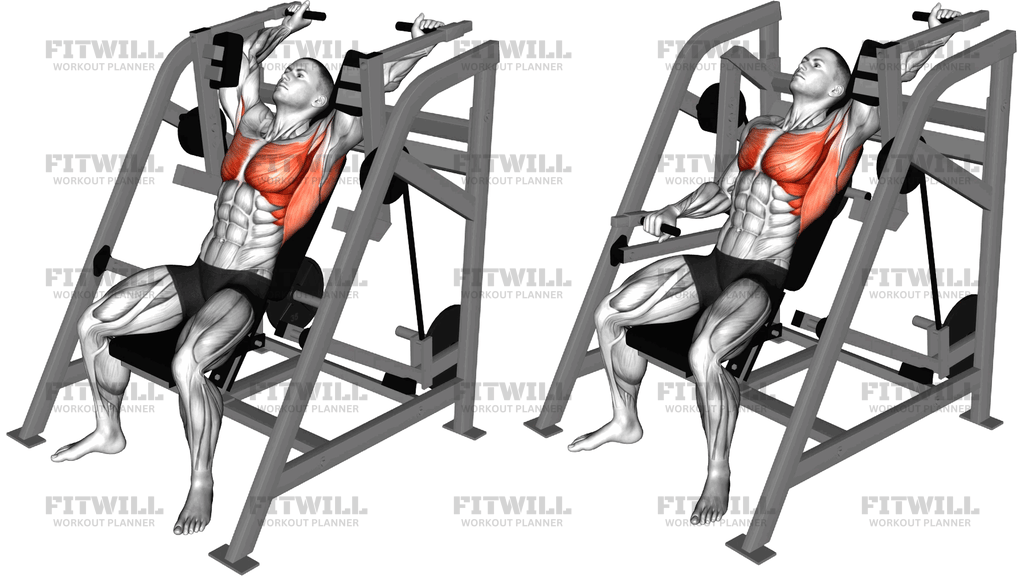 Lever Alternating Pullover (Plate Loaded)