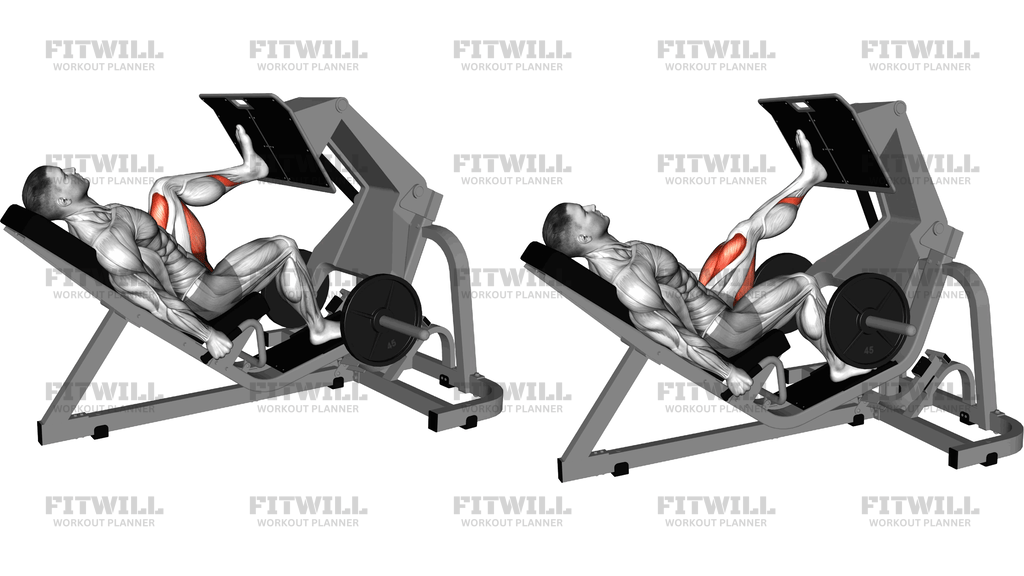 Lever Angled Single Leg Press