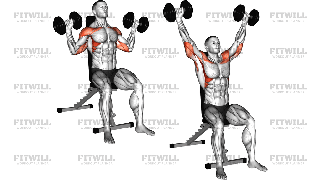Dumbbell Seated W Press
