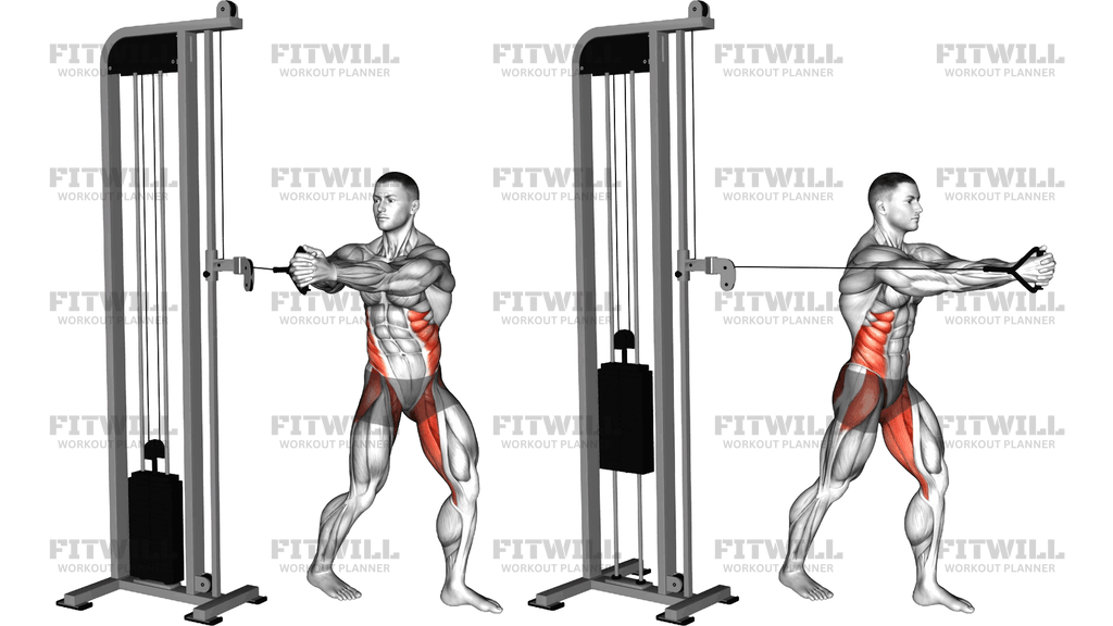 Cable Oblique Twist