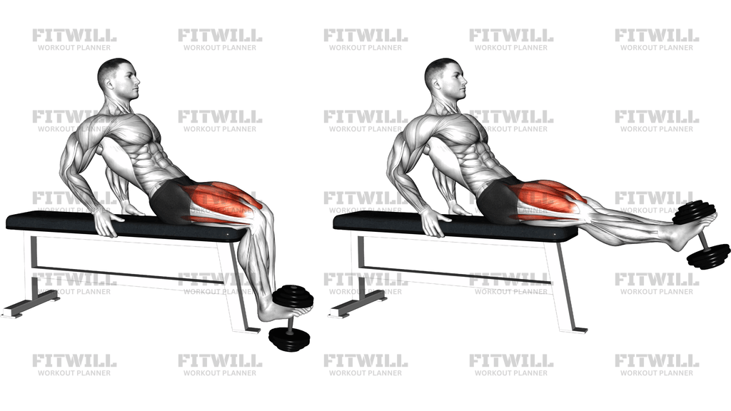 Dumbbell Sitting Leg Extension