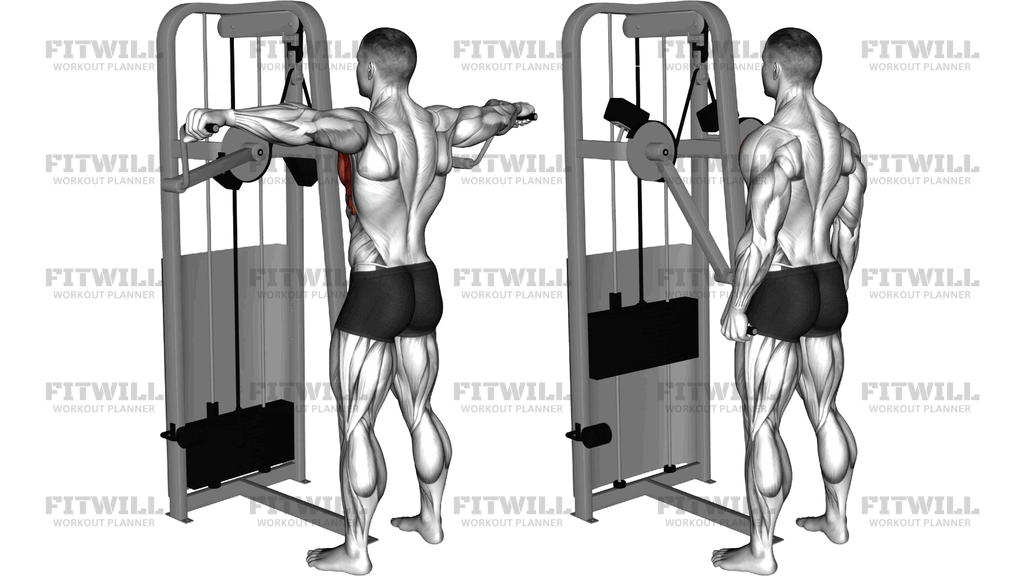 Lever Standing Pec Fly