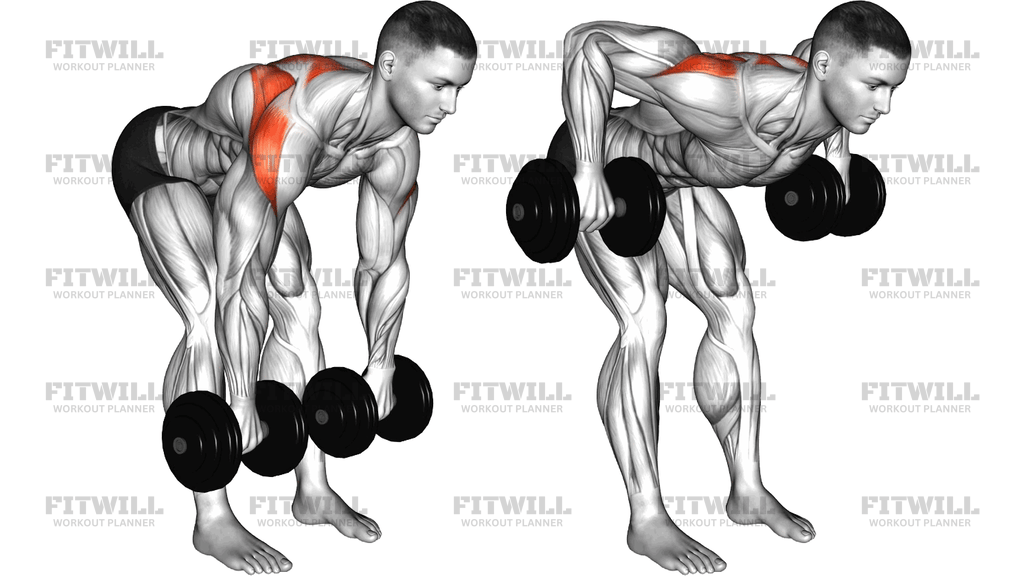 Dumbbell Bent Over Wide Row