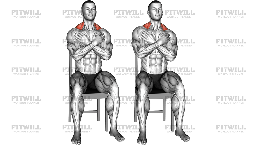 Bodyweight Sitting Alternating Shrug