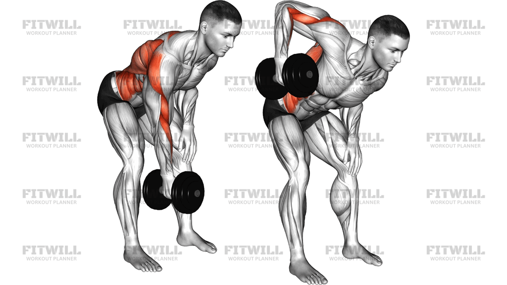 Dumbbell Bent Over Twisting Row