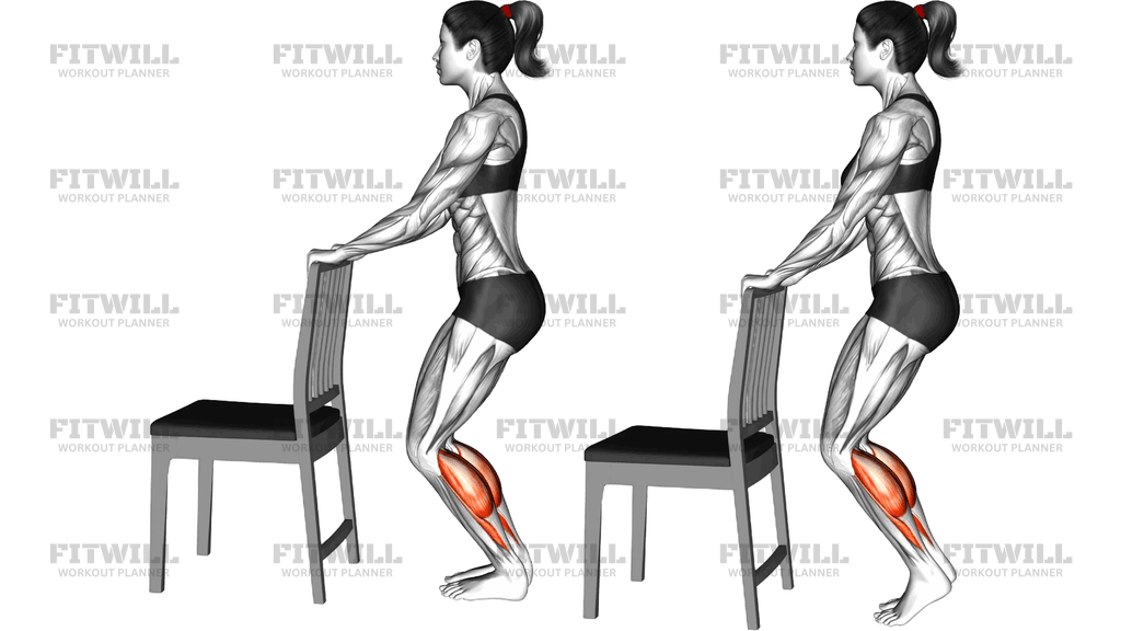 Standing Bent Knee Calf Raise With A Chair Support