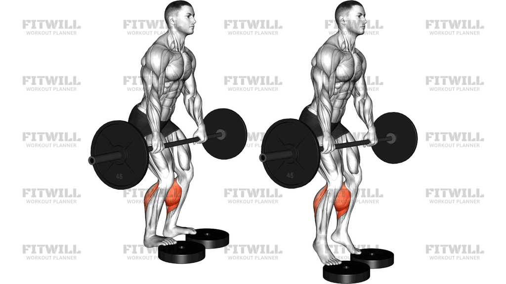 Barbell Standing Bent Knee Calf Raise From Deficit