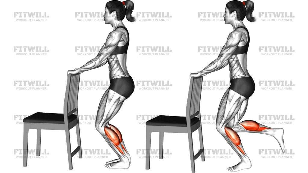 Standing Bent Knee Alternating Calf Raise With A C