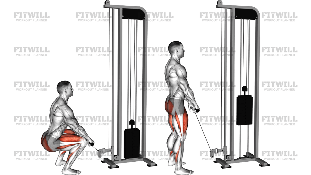 Cable Squat