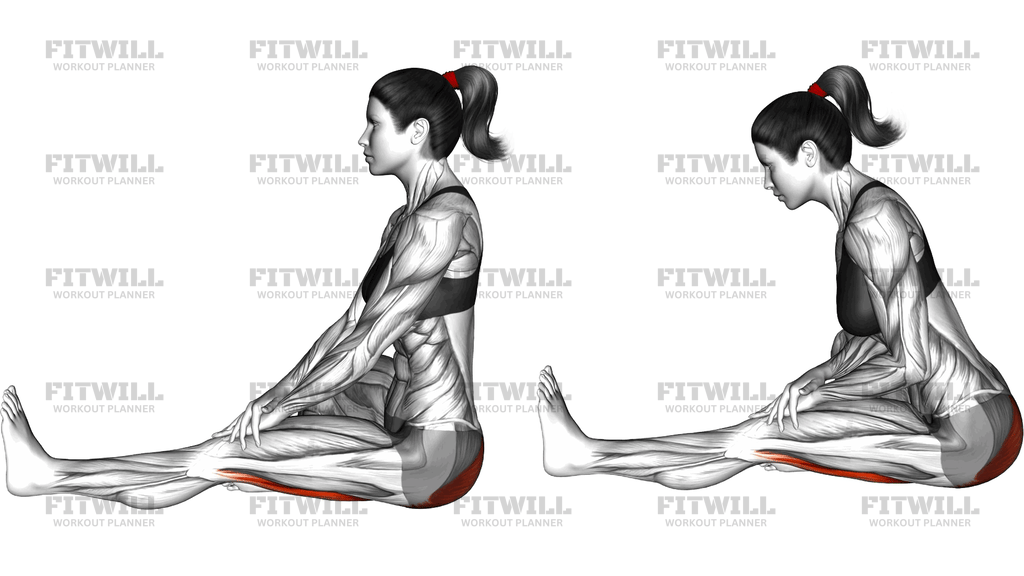 Sitting Single Straight Back Hamstring Lean