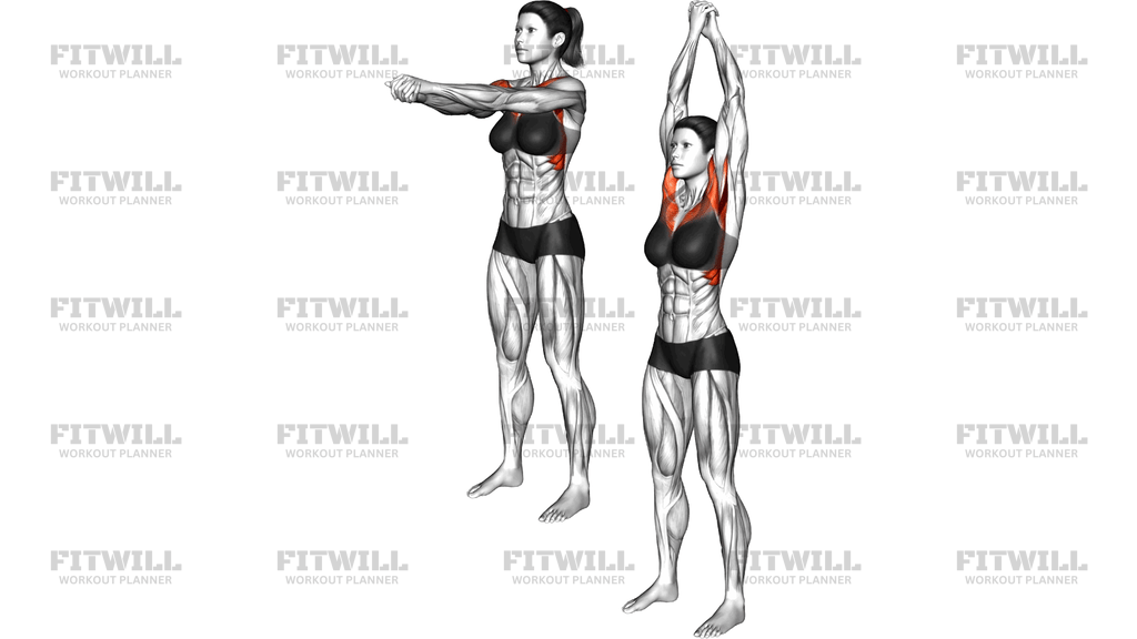 Standing Opposite Straight Arm Clasp Raise (Right)