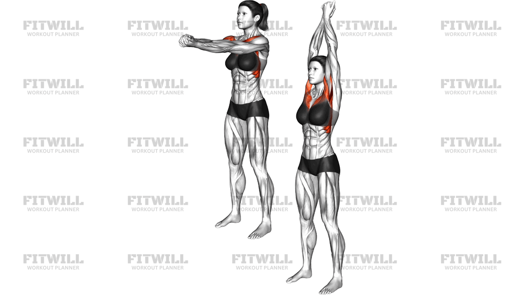 Standing Opposite Straight Arm Clasp Raise (Left O)