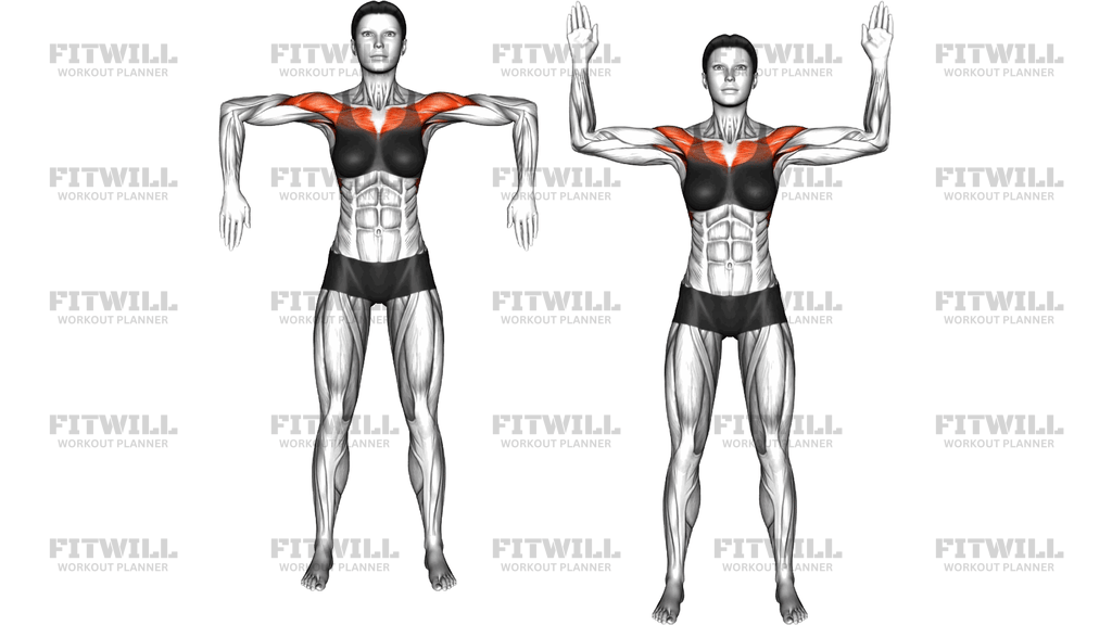 Standing Scapular Rotation