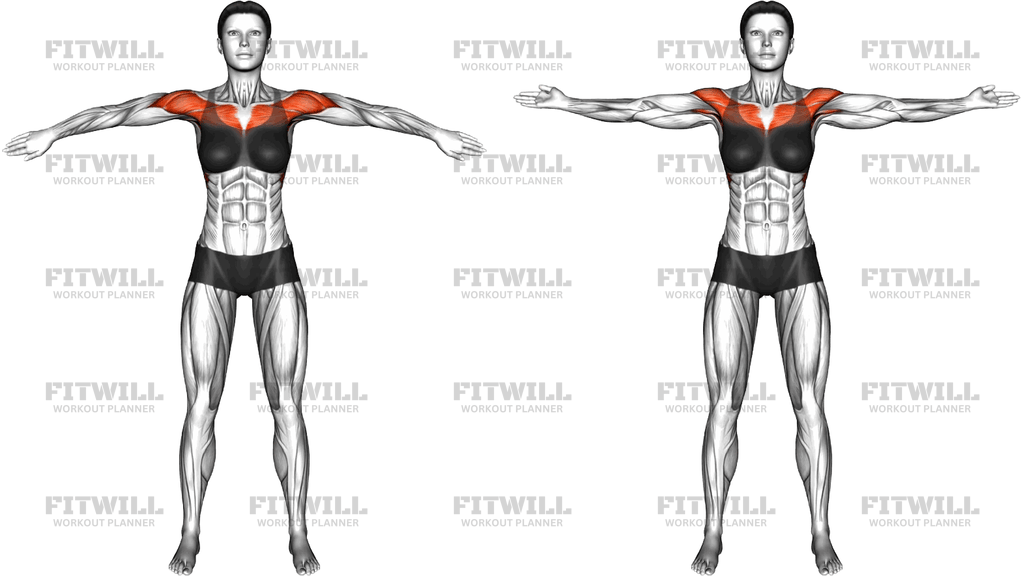 Standing Backhand And Forehand Push