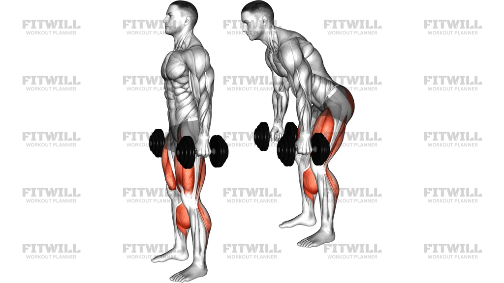 Dumbbell Romanian Deadlift To Squat