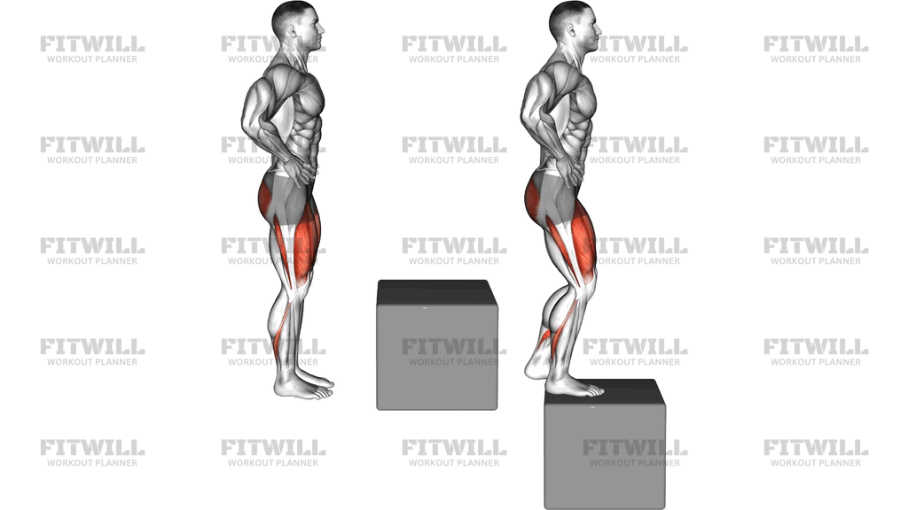 Step Up On Box