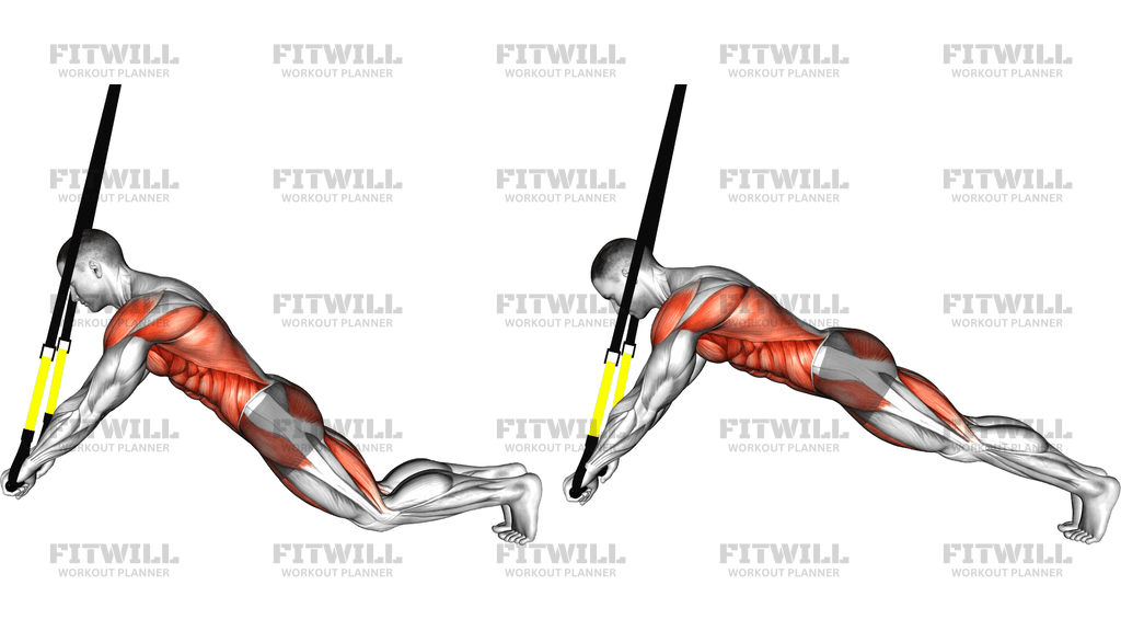 Suspender Extended Plank
