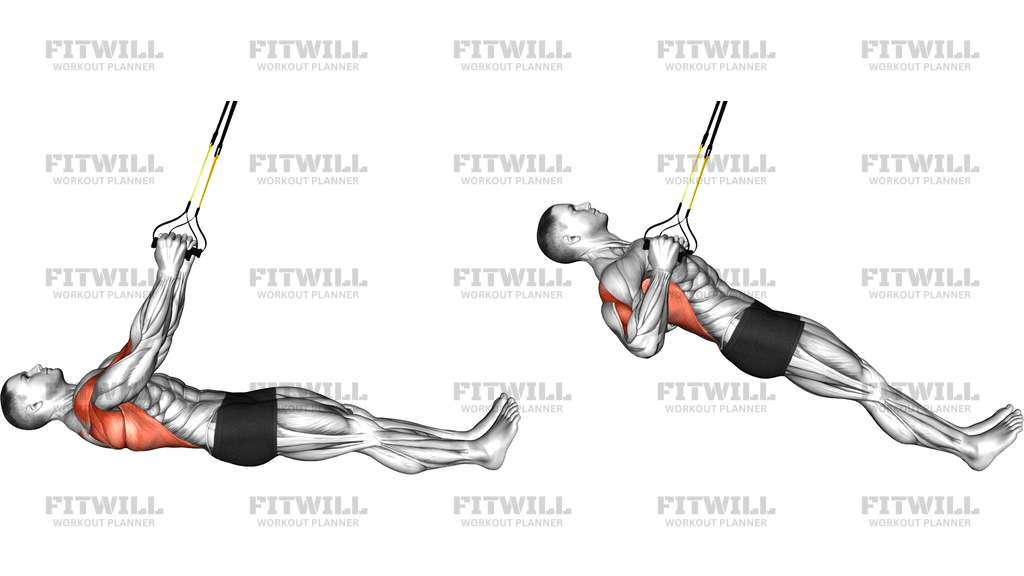Suspender Inverted Row Parallel To The Floor