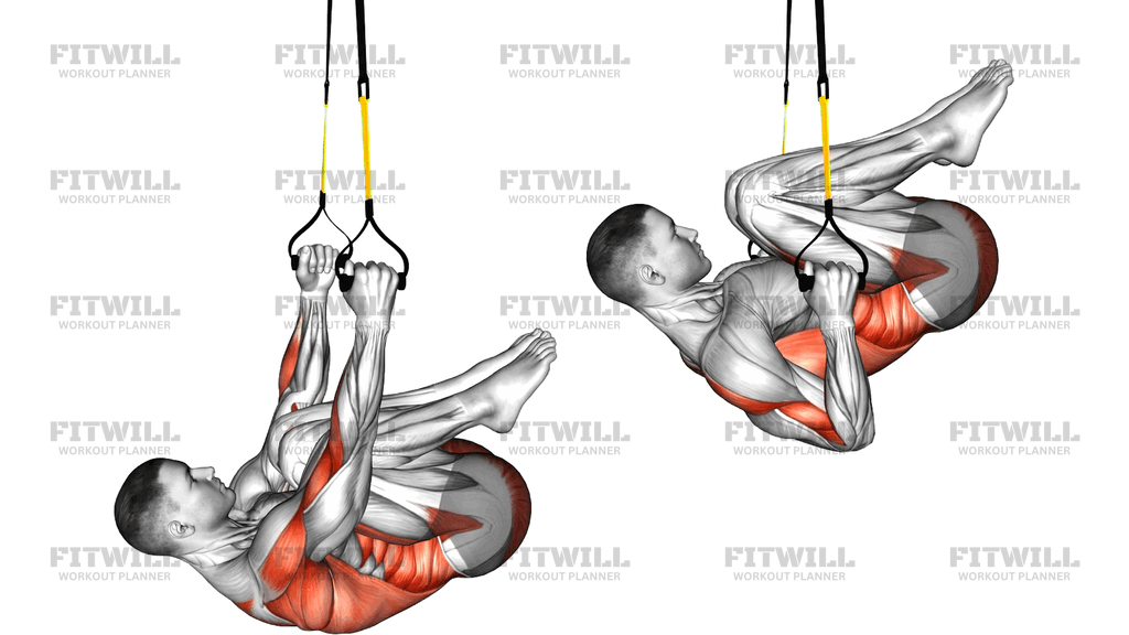 Suspender Knee Tuck Row