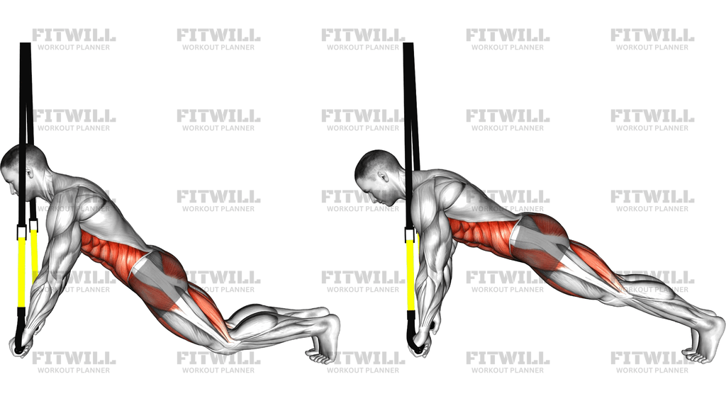 Suspender Plank