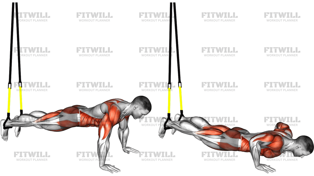 Suspender Push Up To Side Plank